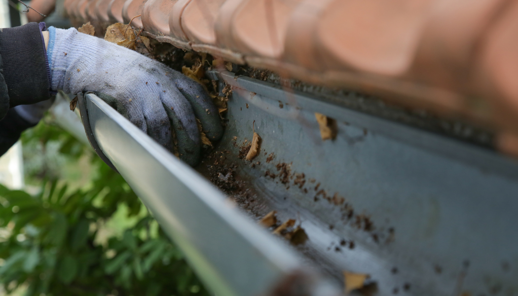 Gutter Cleaning